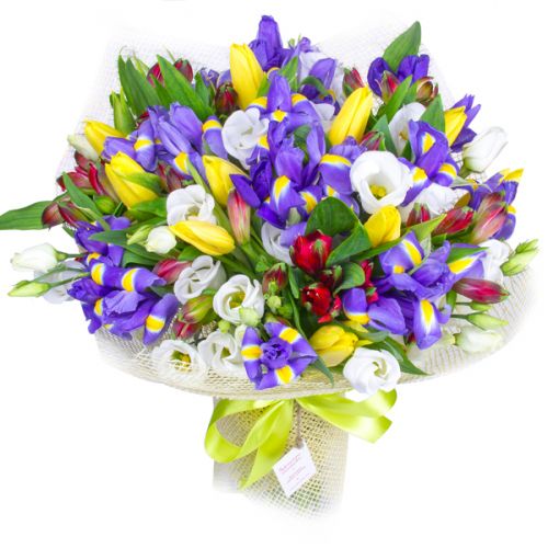 ����� ������ ���� ����. �������� �� ����� � �������
