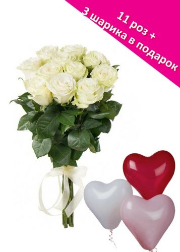 11 ����� ��� + ������ ������. �������� �� ����� � �������